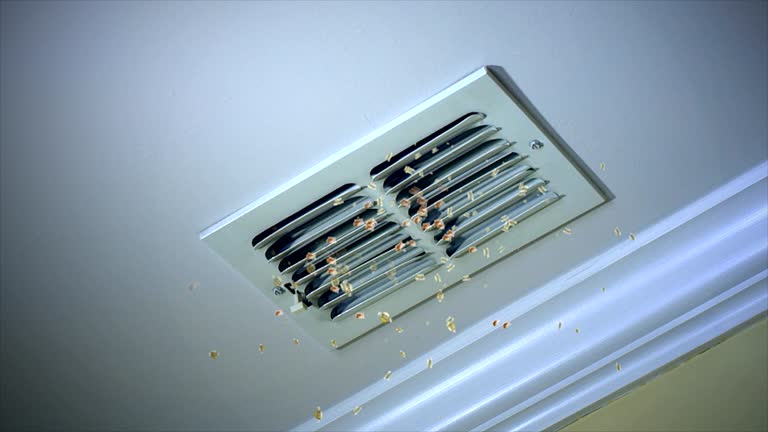 HVAC System Cleaning in Yermo, CA